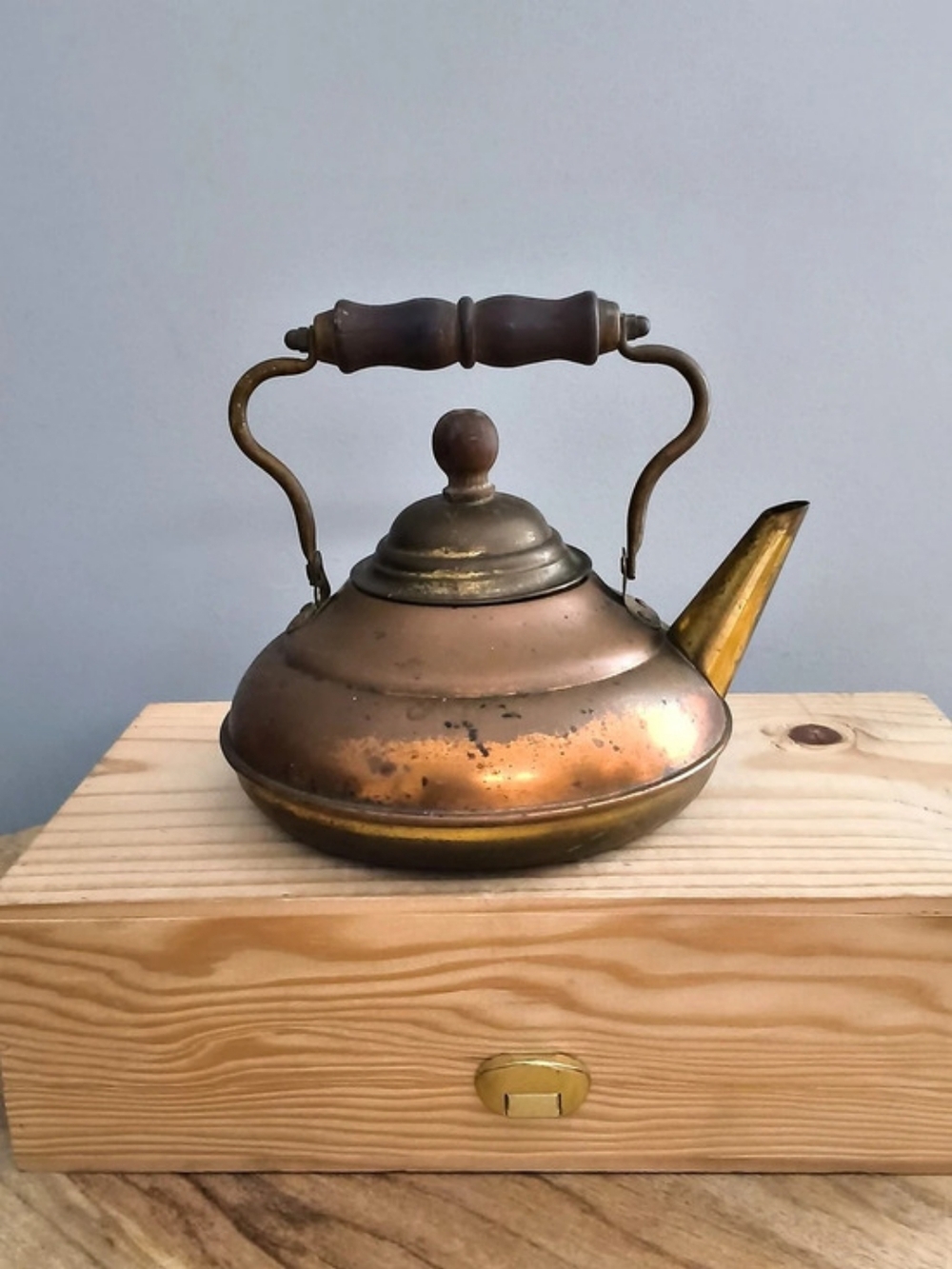 Vintage Teapot Kettle Cottagecore Countrycore
